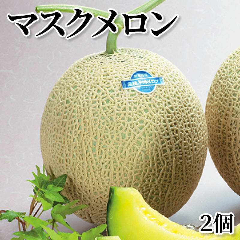 マスクメロン 2個 送料込み