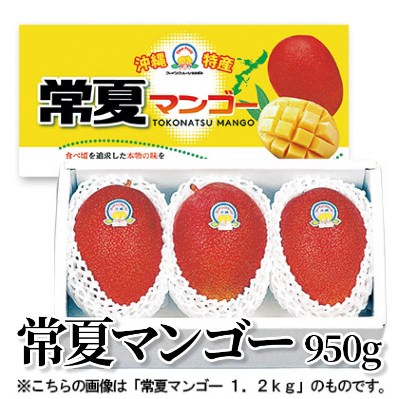 常夏マンゴー 950ｇ 送料込み
