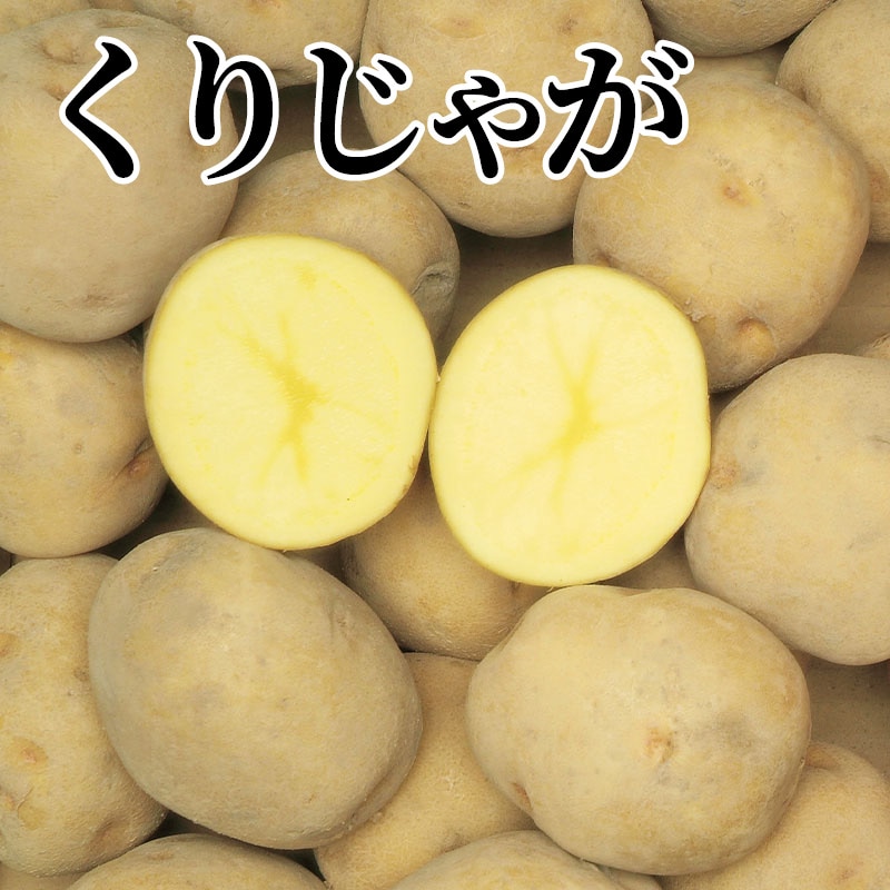 くりじゃが 送料込み