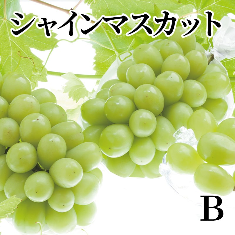 シャインマスカット Ｂ 送料込み