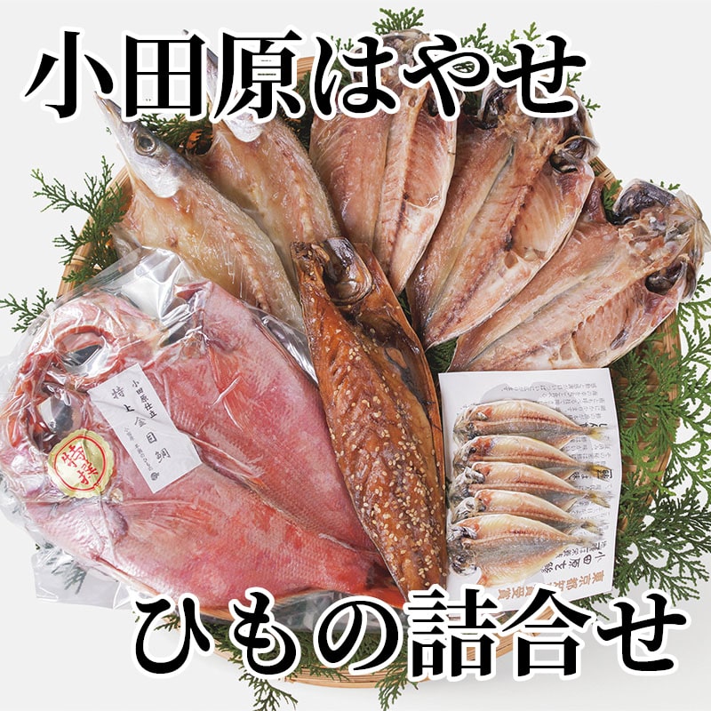 小田原はやせ ひもの詰合せ 送料込み