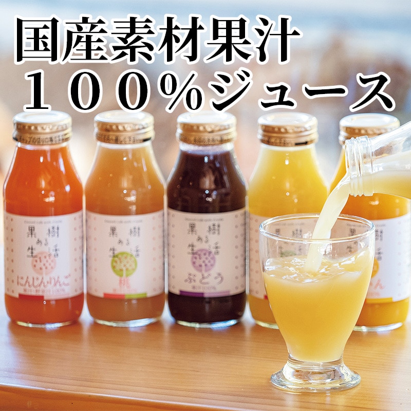 国産素材果汁100%ジュース 送料込み