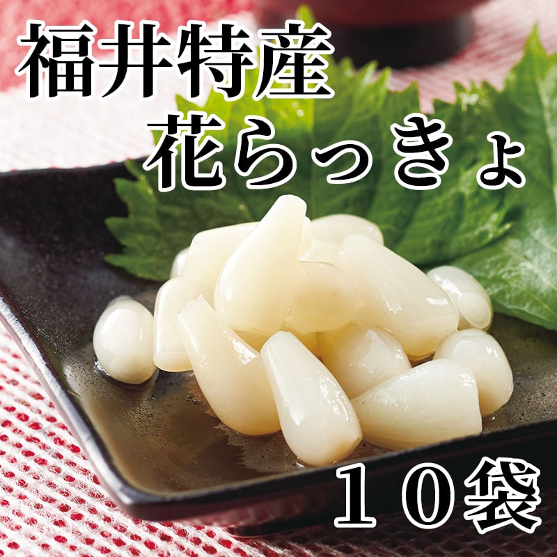 福井特産花らっきょ 10袋 送料込み