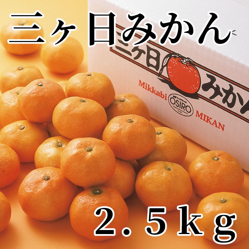 三ヶ日みかん 2．5ｋｇ 送料込み