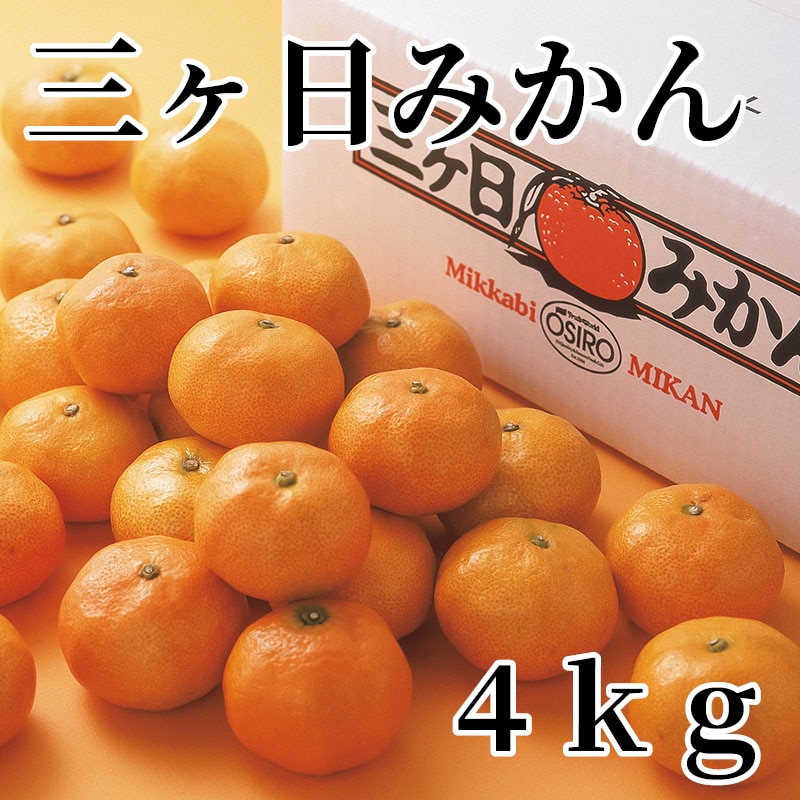 三ヶ日みかん 4ｋｇ 送料込み