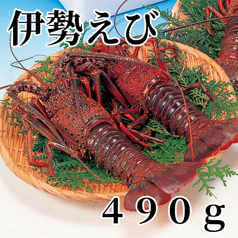 伊勢えび 490ｇ 送料込み