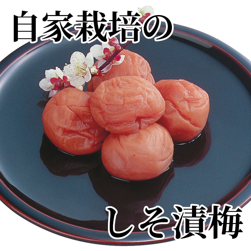 自家栽培のしそ漬梅 送料込み