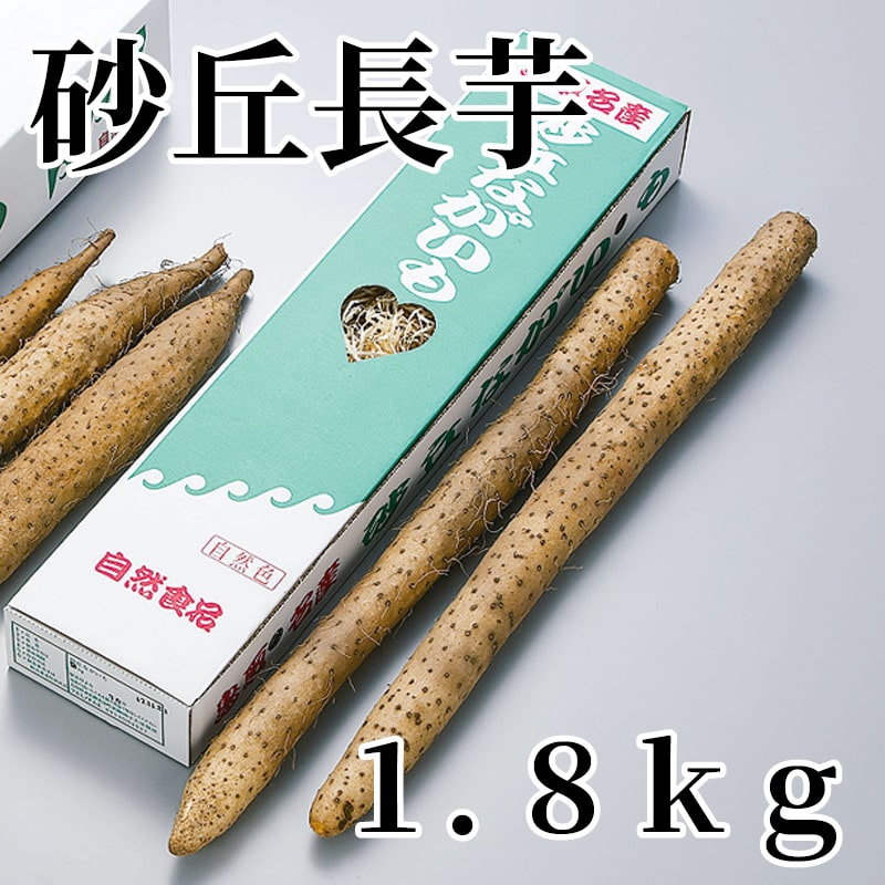 砂丘長芋 1．8ｋｇ 送料込み