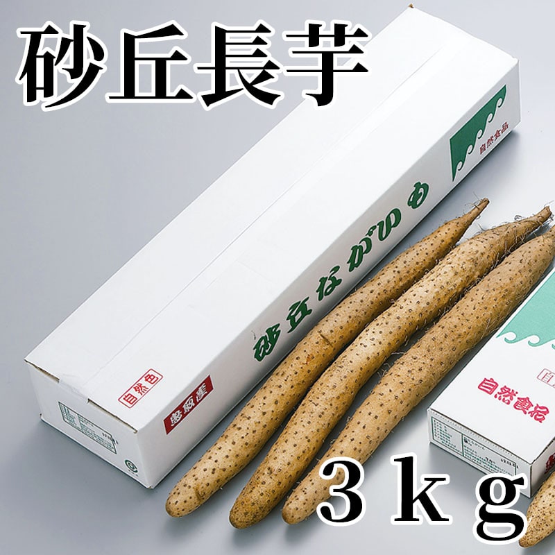 砂丘長芋 3ｋｇ 送料込み