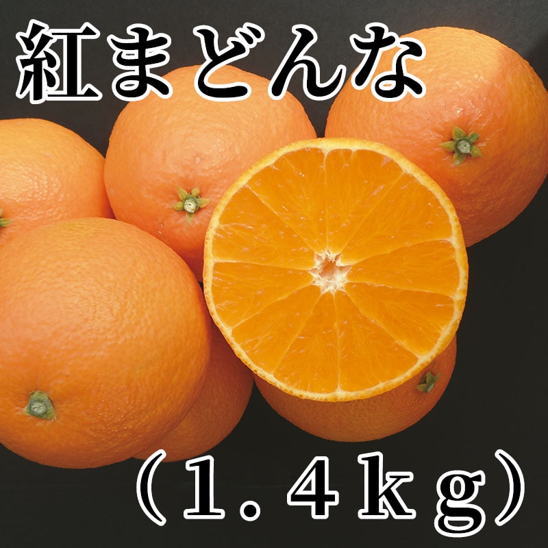 紅まどんな（1．4ｋｇ） 送料込み