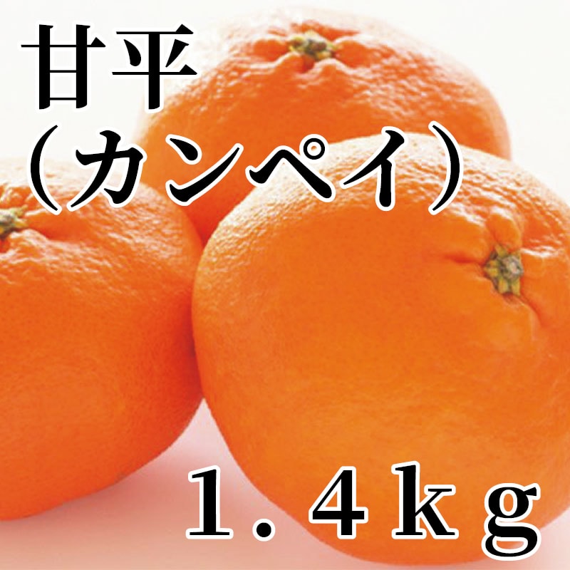 甘平（カンペイ） 1．4ｋｇ 送料込み