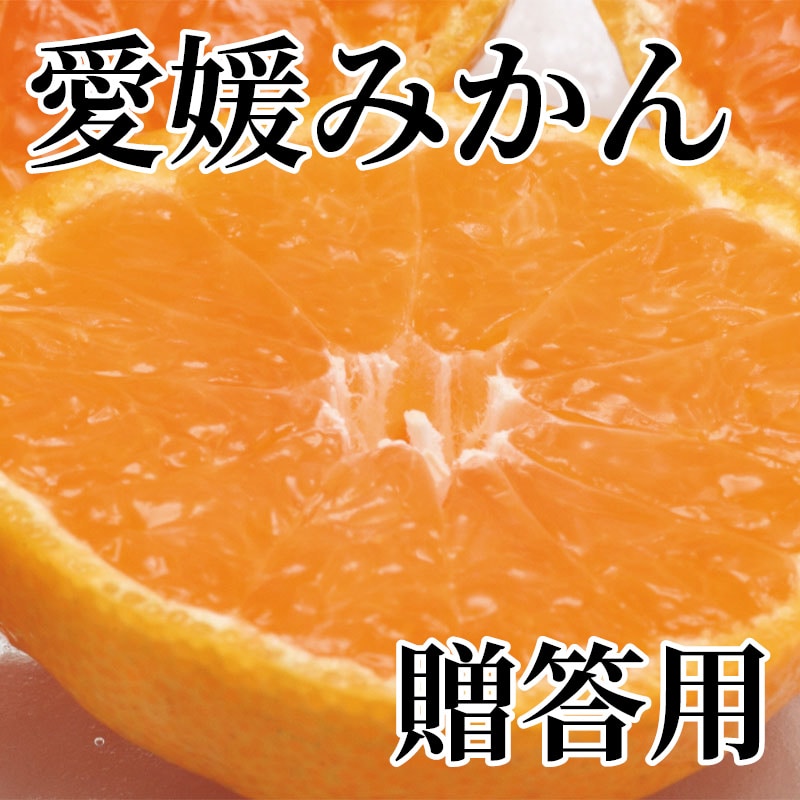 愛媛みかん 贈答用 送料込み