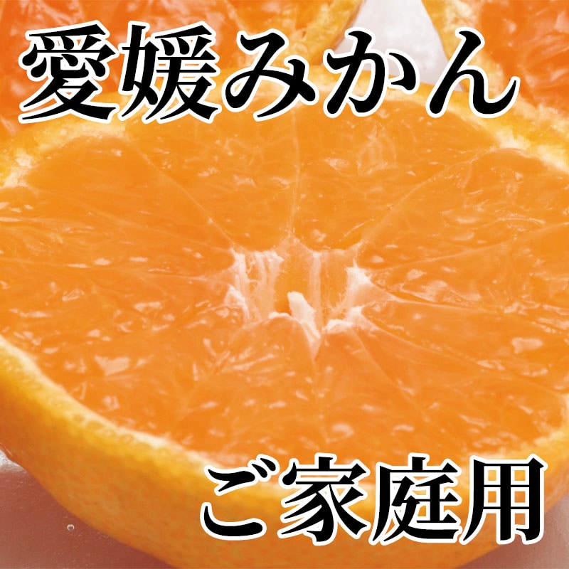 愛媛みかん ご家庭用 送料込み
