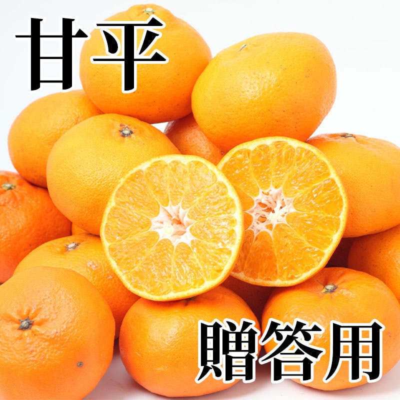 甘平 贈答用 送料込み
