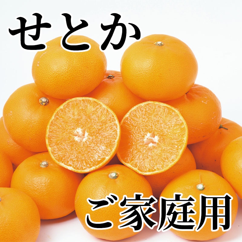 せとか ご家庭用 送料込み