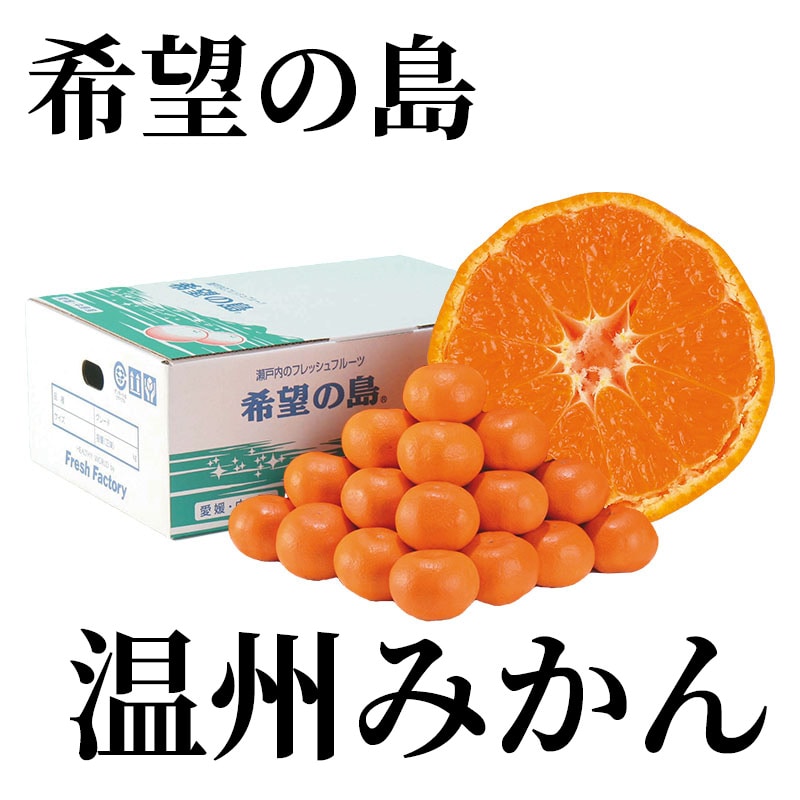 希望の島 温州みかん 送料込み