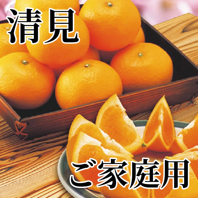 清見 ご家庭用 送料込み
