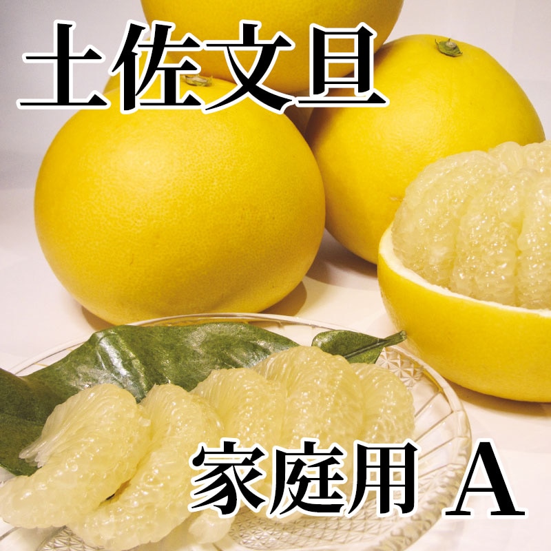 土佐文旦 家庭用 Ａ 送料込み