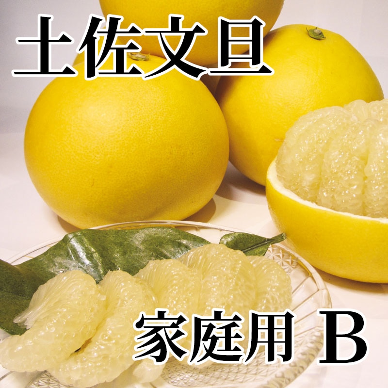 土佐文旦 家庭用 Ｂ 送料込み