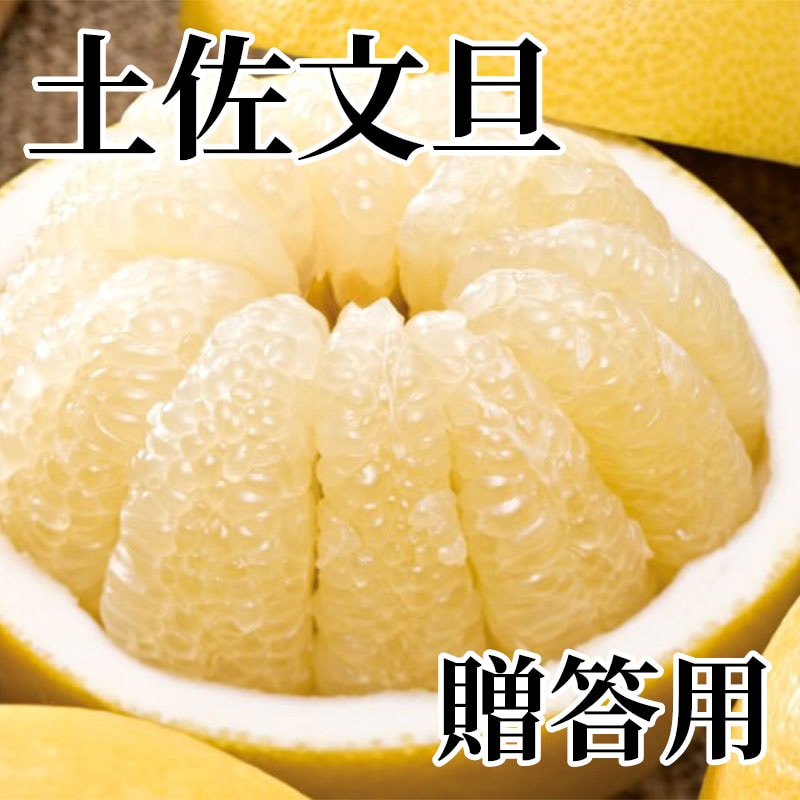 土佐文旦 贈答用 送料込み