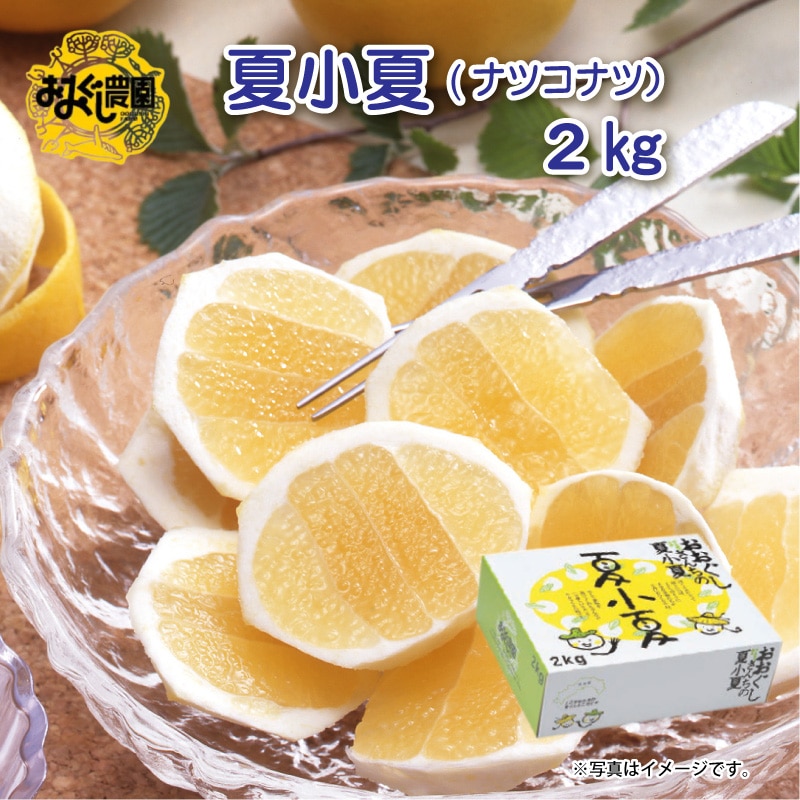お中元 夏小夏（ナツコナツ）2ｋｇ 御中元 夏ギフト ギフト 贈答 送料込み