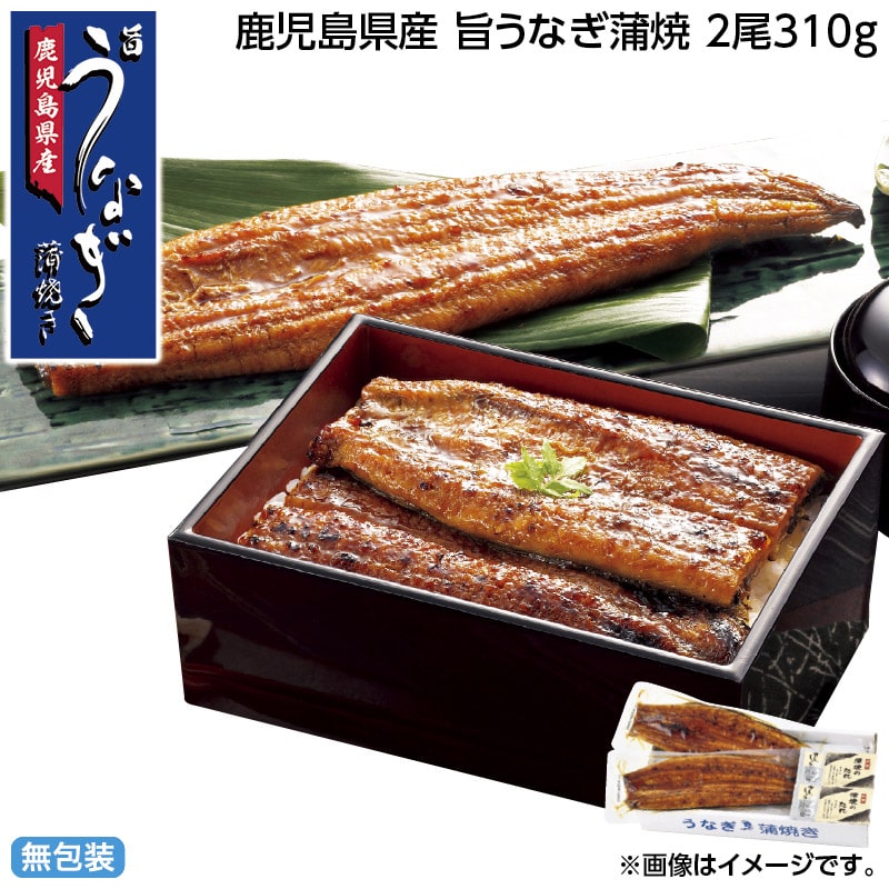 お中元 鹿児島県産 旨うなぎ蒲焼 2尾310ｇ 御中元 夏ギフト ギフト 贈答 送料込み