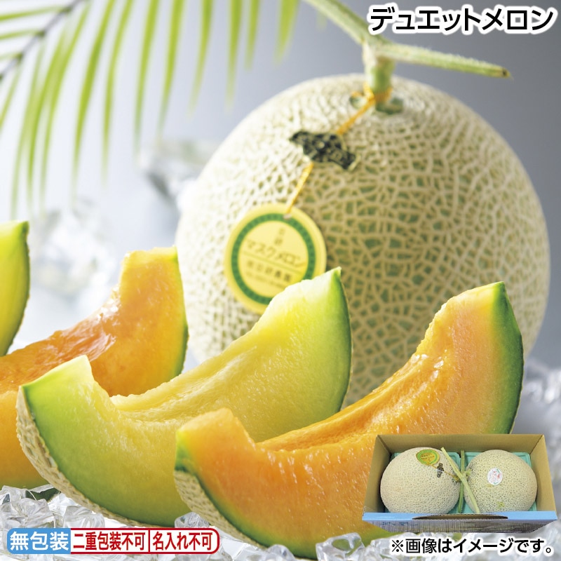 お中元 デュエットメロン 御中元 夏ギフト ギフト 贈答 送料込み