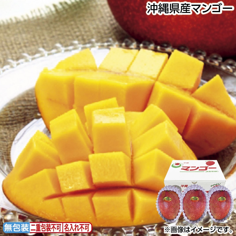 お中元 沖縄県産マンゴー 御中元 夏ギフト ギフト 贈答 送料込み