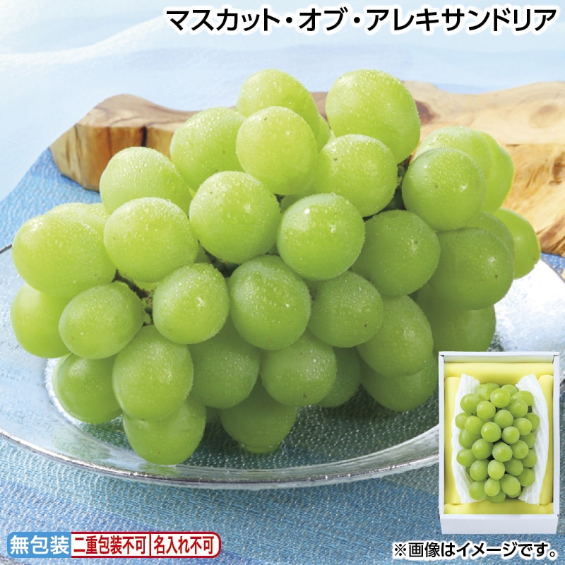お中元 マスカット・オブ・アレキサンドリア 御中元 夏ギフト ギフト 贈答 送料込み