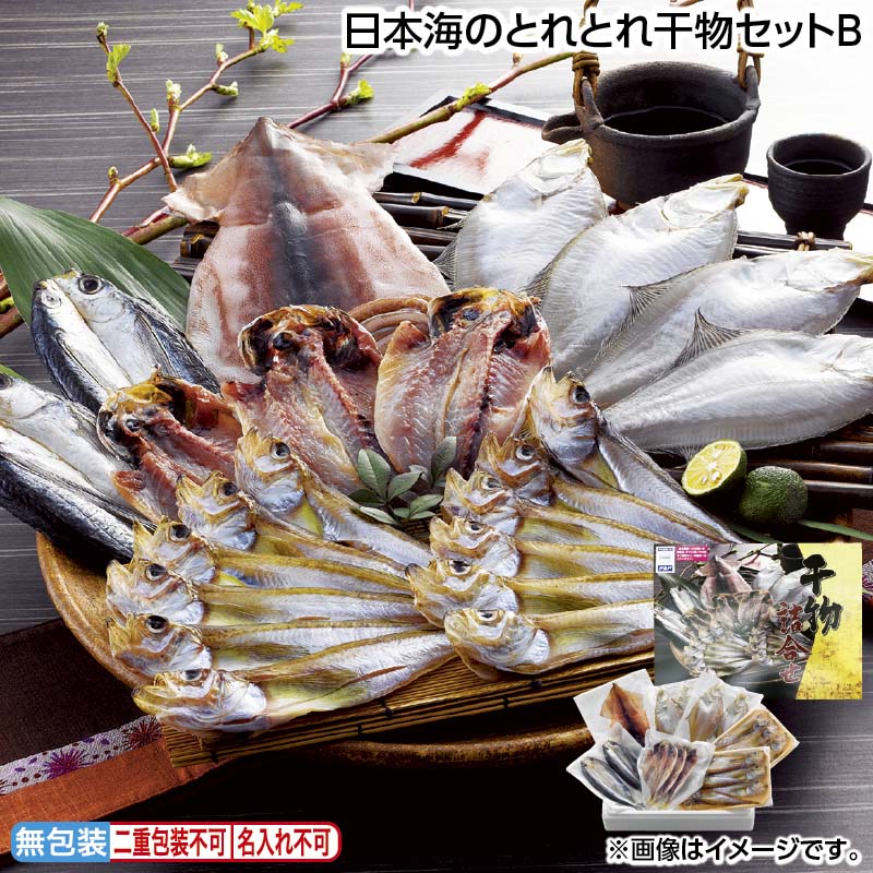 お中元 日本海のとれとれ干物セットＢ 御中元 夏ギフト ギフト 贈答 送料込み