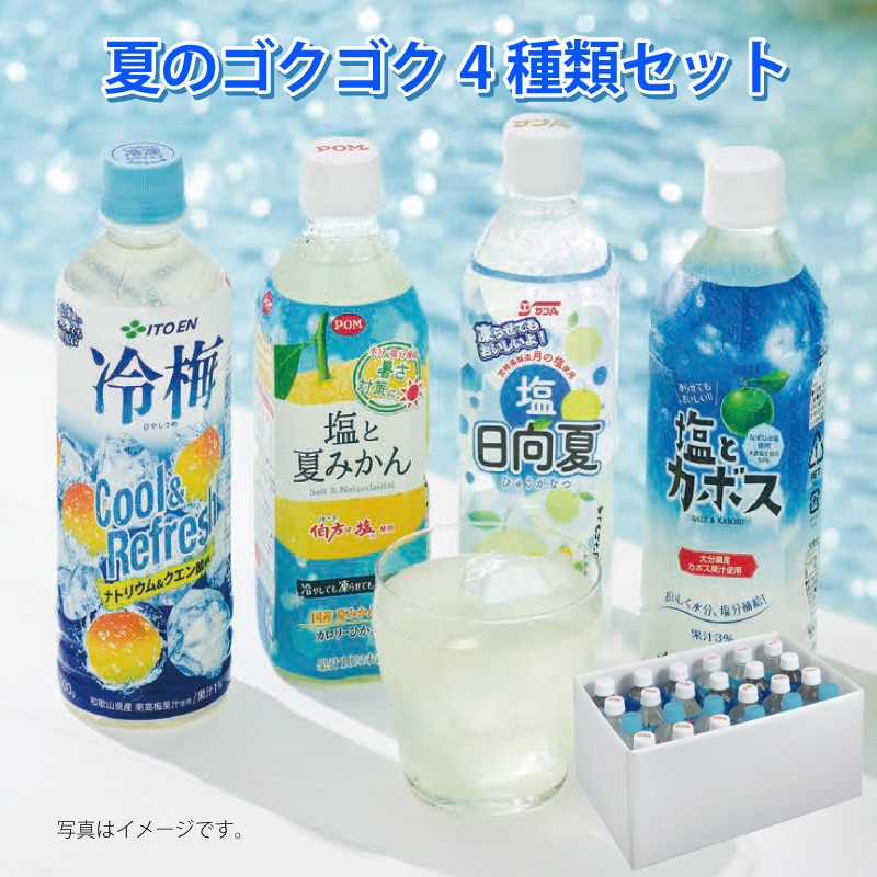 お中元 夏のゴクゴク4種セット 御中元 夏ギフト ギフト 贈答 送料込み
