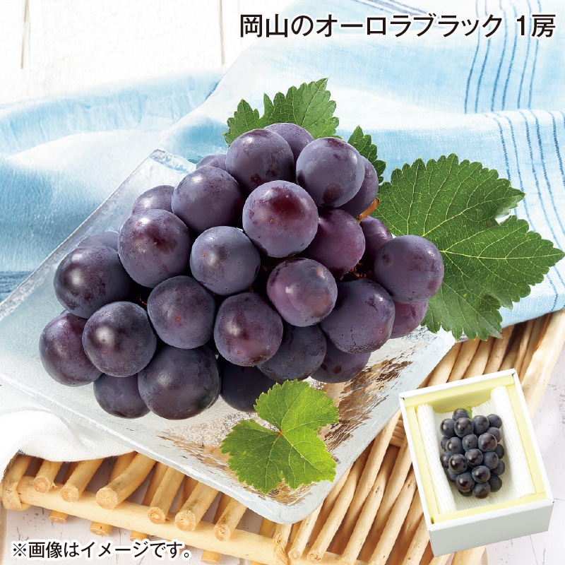 早割期間中 通常価格5,200円⇒4,980円 お中元 岡山のオーロラブラック 1房 御中元 夏ギフト ギフト 贈答 送料込み