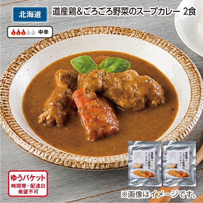 道産鶏&ごろごろ野菜のスープカレー 2食 送料込み