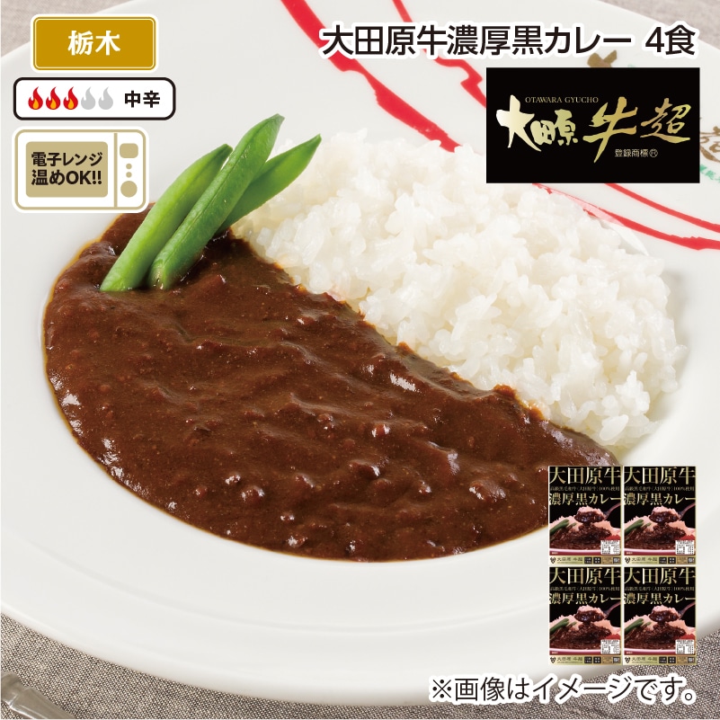 大田原牛濃厚黒カレー Ｂ（4食） 送料込み