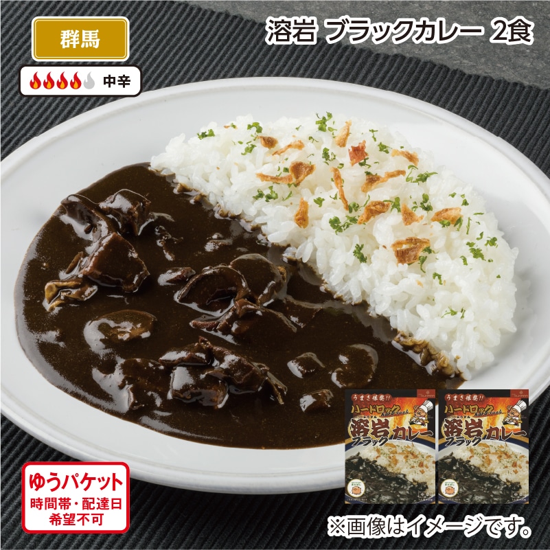 溶岩 ブラックカレー 2食 送料込み