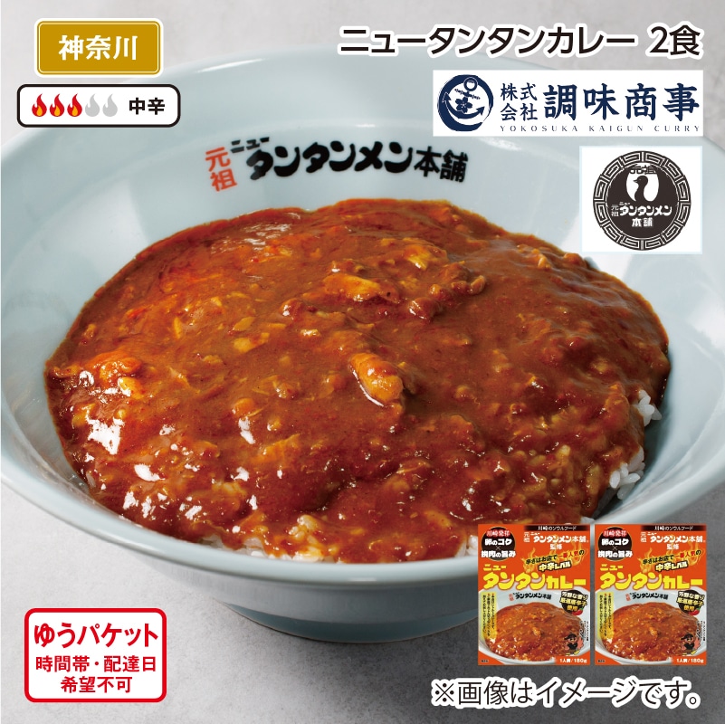 ニュータンタンカレー A(2食) 送料込み