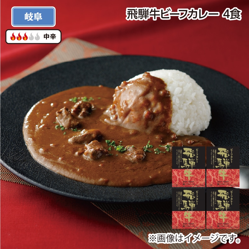 飛騨牛ビーフカレー Ｂ（4食） 送料込み