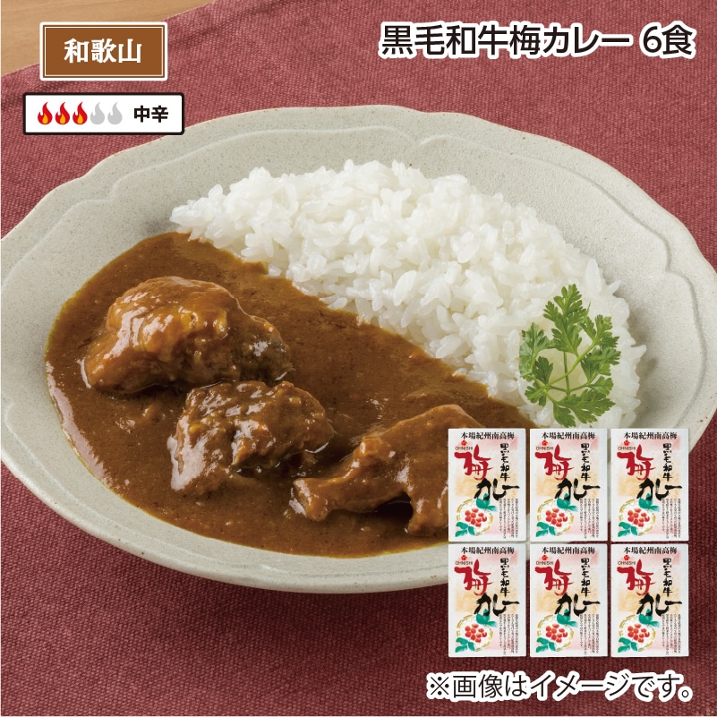 黒毛和牛梅カレー Ｂ（6食） 送料込み
