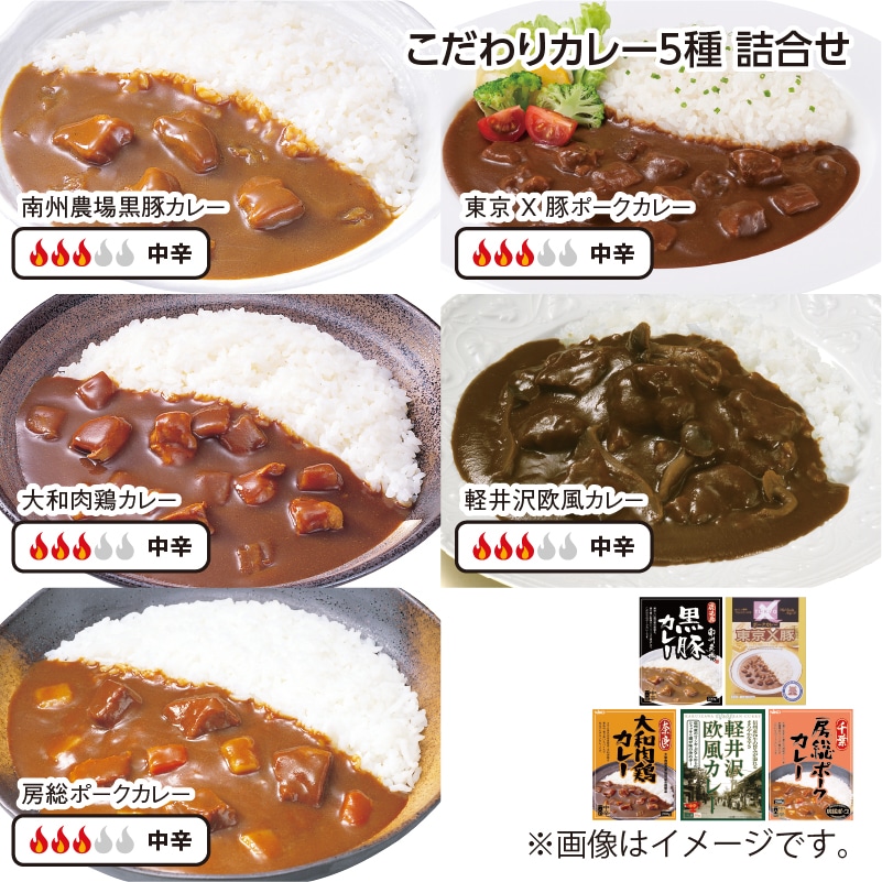 こだわりカレー5種 詰合せ 送料込み