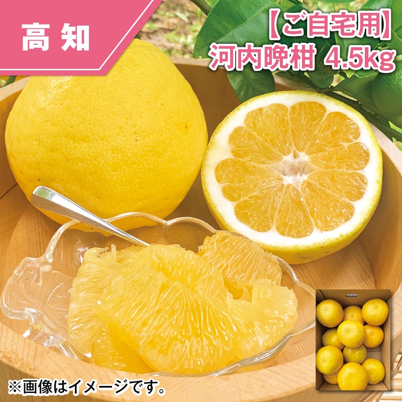【ご自宅用】河内晩柑 4．5ｋｇ 送料込み