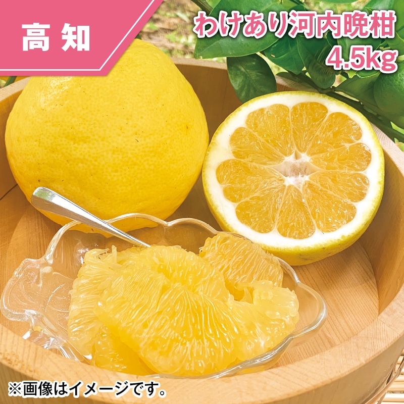わけあり 河内晩柑 4.5kg 送料込み