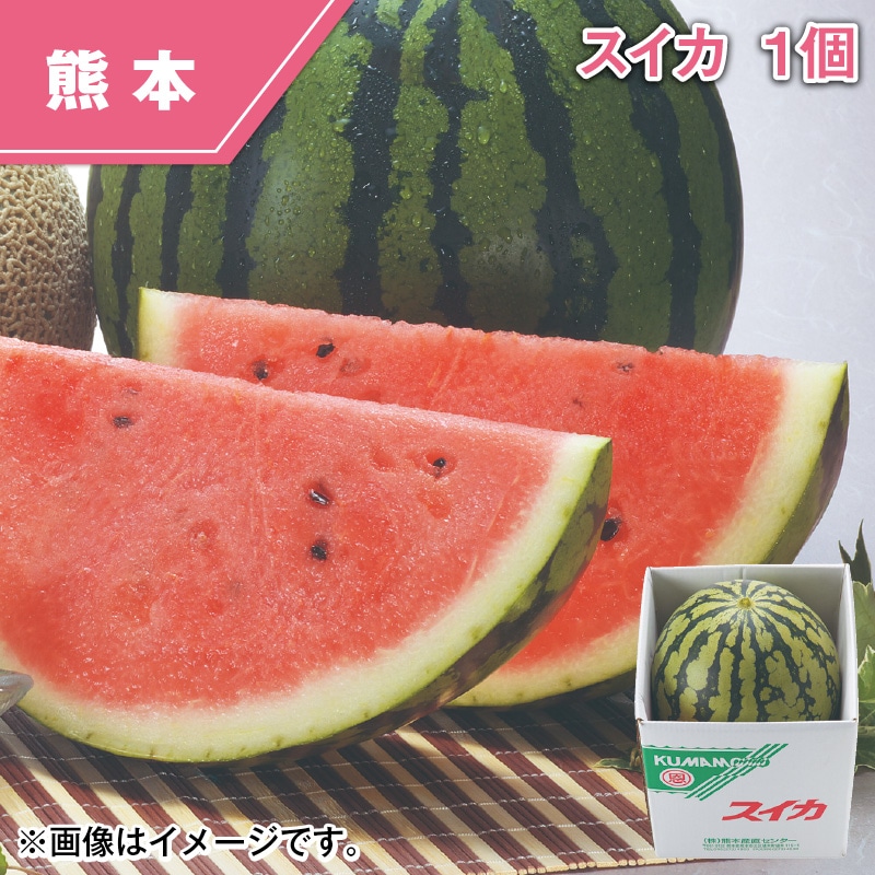 スイカ 1個 送料込み