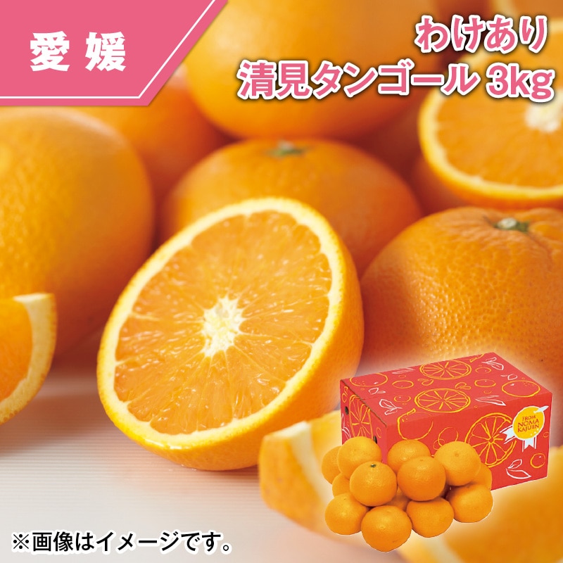 わけあり 清見タンゴール 3kg 送料込み