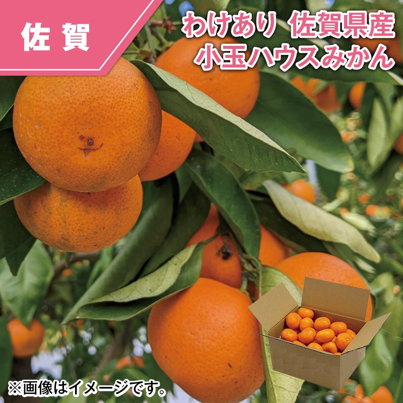 わけあり 佐賀県産 小玉ハウスみかん 送料込み