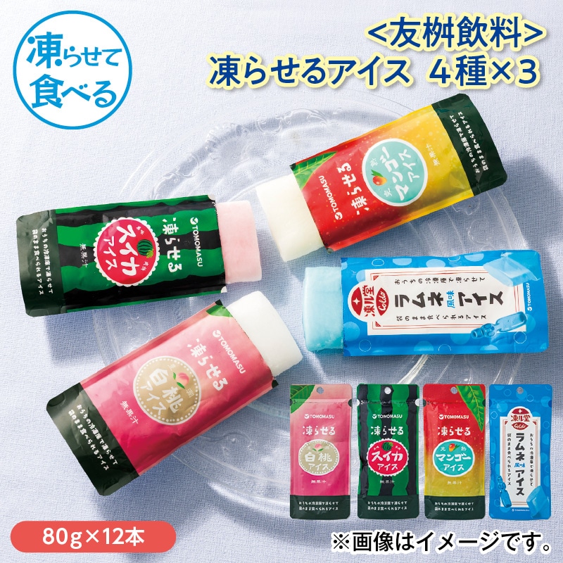 〈友桝飲料〉凍らせるアイス 4種×3 送料込み