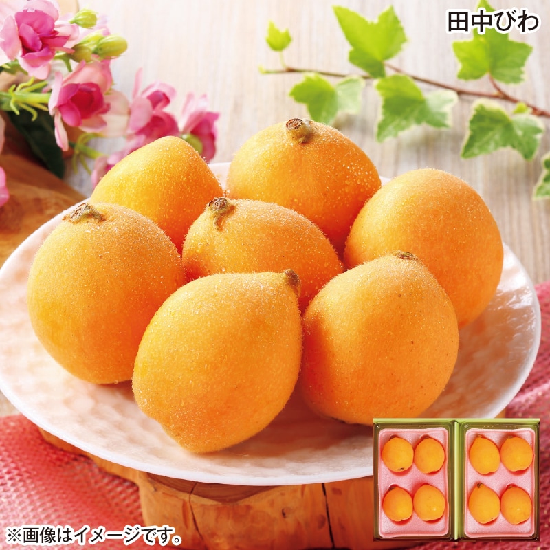 田中びわ 送料込み