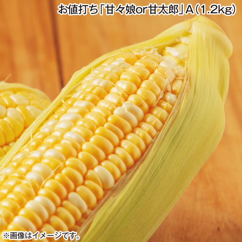 お値打ち「甘々娘ｏｒ甘太郎」Ａ（1．2ｋｇ） 送料込み