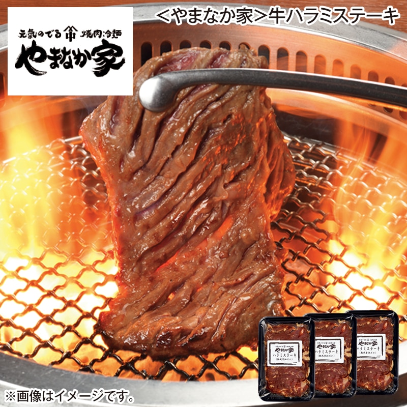 ＜やまなか家＞牛ハラミステーキ 送料込み