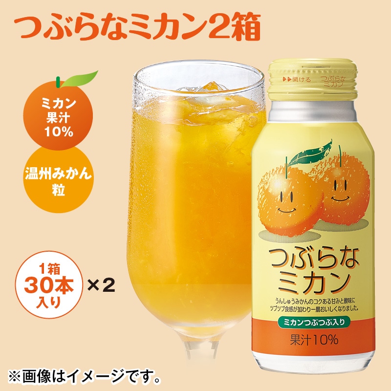 つぶらなミカン2箱 送料込み