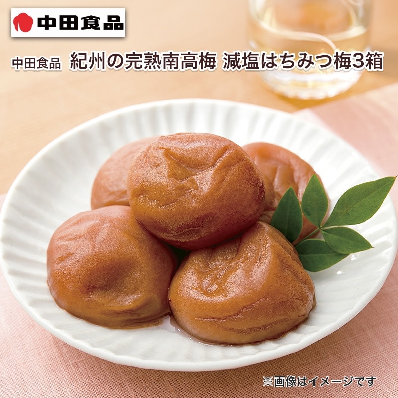 中田食品 紀州の完熟南高梅 減塩はちみつ梅 3箱 送料込み